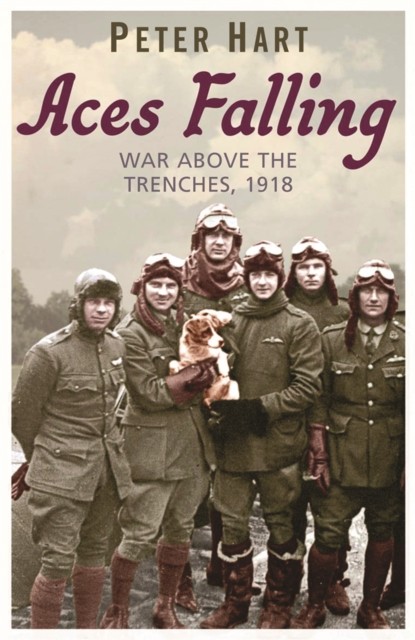 Aces Falling War Above The Trenches, 1918 by Peter Hart (Paperback Book)