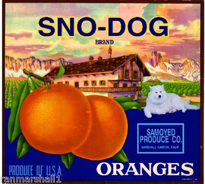 Marshall Canyon Samoyed Sno-Dog Dog Orange Citrus Fruit Crate Label Art Print