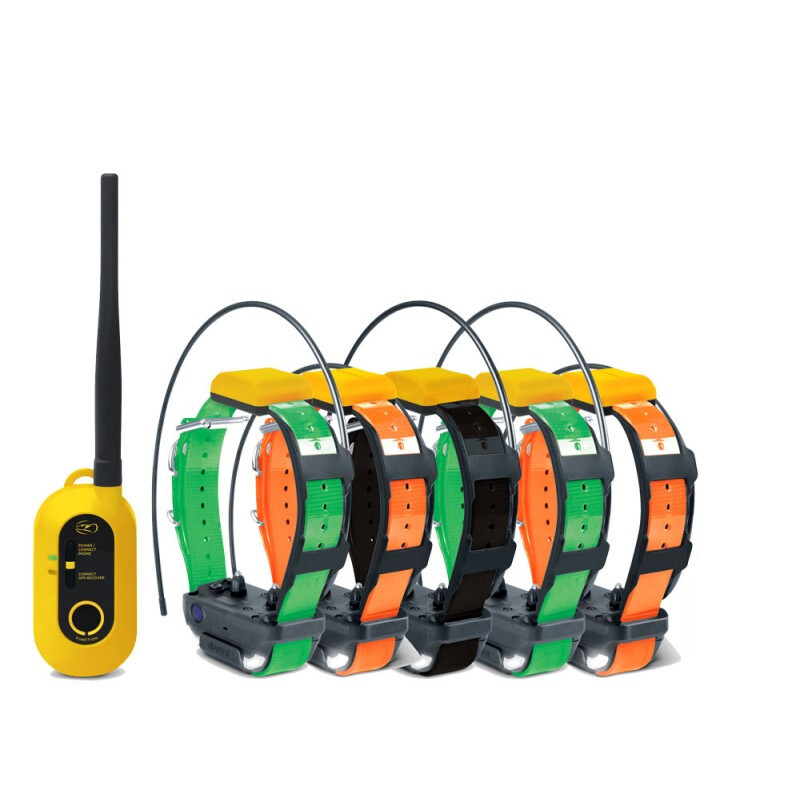 ●LOTONE & J-DOG Dogtra PATHFINDER2 GPS 5 Dog Tracking &Training, E-Fence