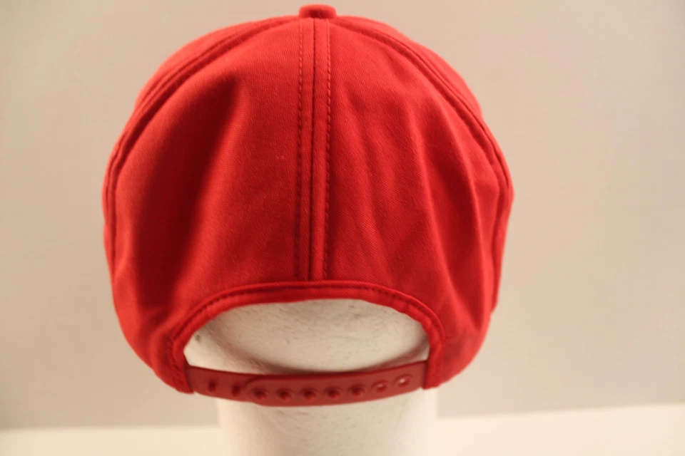 RED WING SHOES STORE Gorra Gorra Snapback Wisconsin EE. UU. Rayas Espuma Parche Paneles Foto 4 de 4