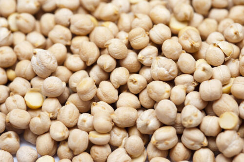 USA Grown Organic Garbanzo Beans 'ChickPeas' Kabuli 'Chana' Raw/Non-GMO - Picture 6 of 9