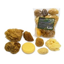 Natural Sea  Synthetic Sponges - Assorted Sizes 7pc Value Pack for Crafts  ...