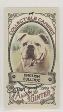 2019 Topps Allen & Ginter Collectable Canines Minis English Bulldog #CC-11 c7z