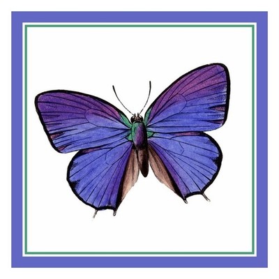 Colorful Lavender Butterfly Counted Cross Stitch Chart Pattern