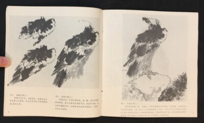1993 中国画技法入門怎样画鹰 Chinese painting art book how to draw