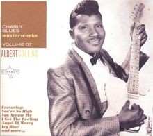 Albert Collins-Blues Masterworks von Collins,Albert | CD | Zustand gut