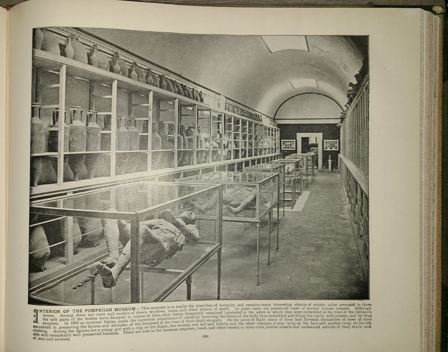 Picture 20 of 24