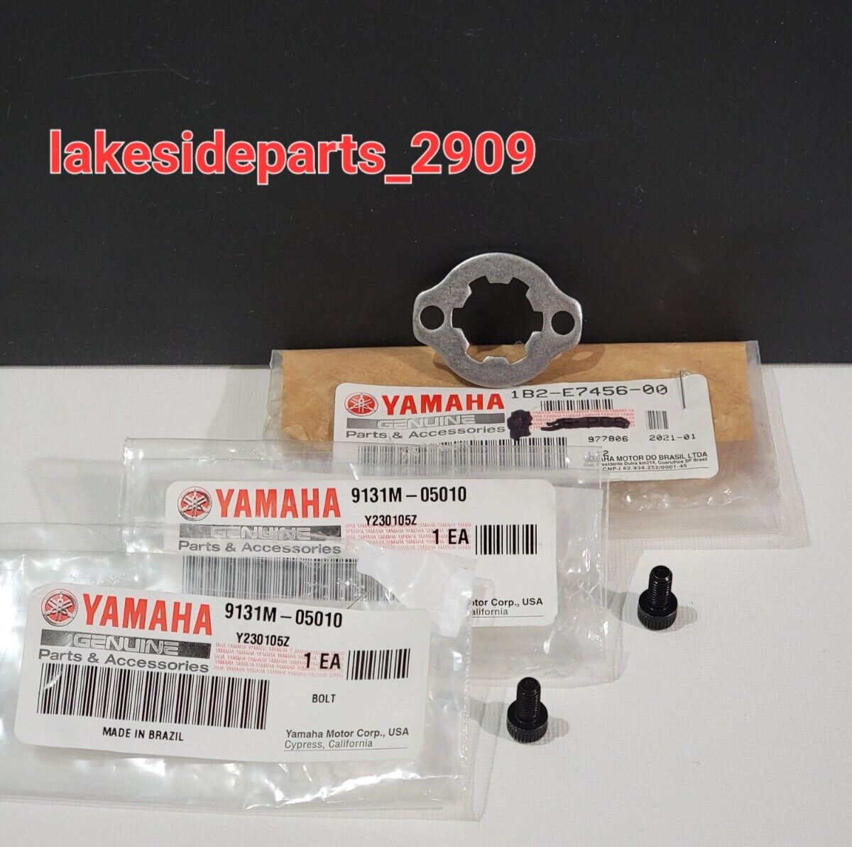 2005-2021 Yamaha Ttr125 Front Sprocket Holder Bracket Circlip Bolts OEM TTR  125 for sale online