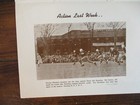 Picture 17 of 17