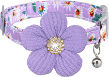 Small Dog Collar with Flower, Puppy Collar for Girl Dog Collars for Small Dogs C