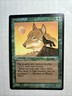 MTG Arabian Nights Wyluli Wolf M/NM Original 1993 Release