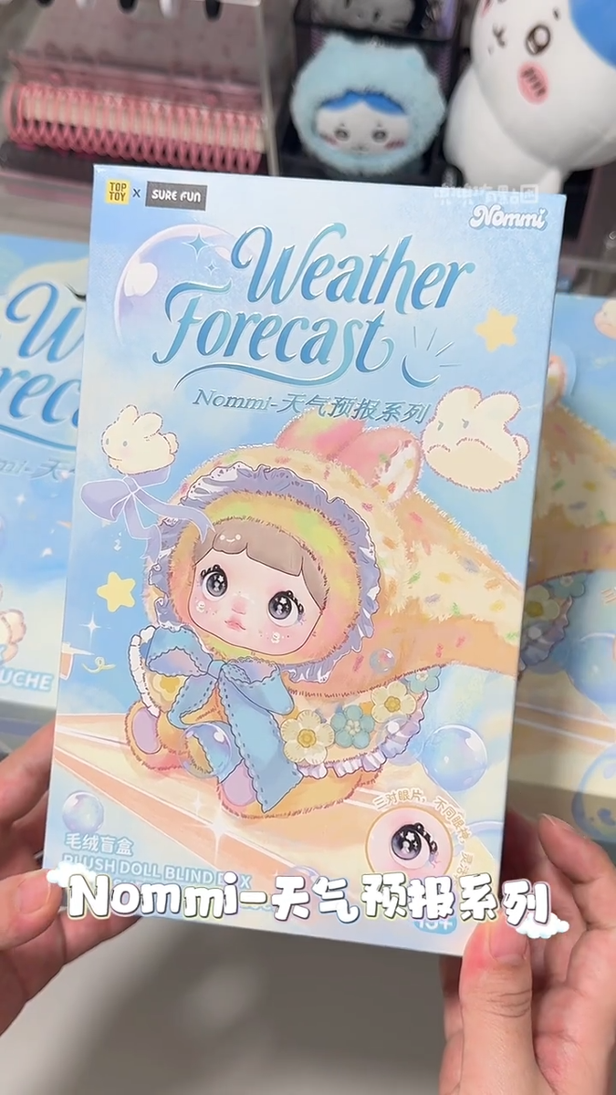 Nommi Weather Forecast Series Plush Pendant Toy Confirmed Blind