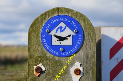 Foto 6x4 Wegweiser für St Oswald Weg Boulmer St Oswald's Weg ist eine 9 c2016