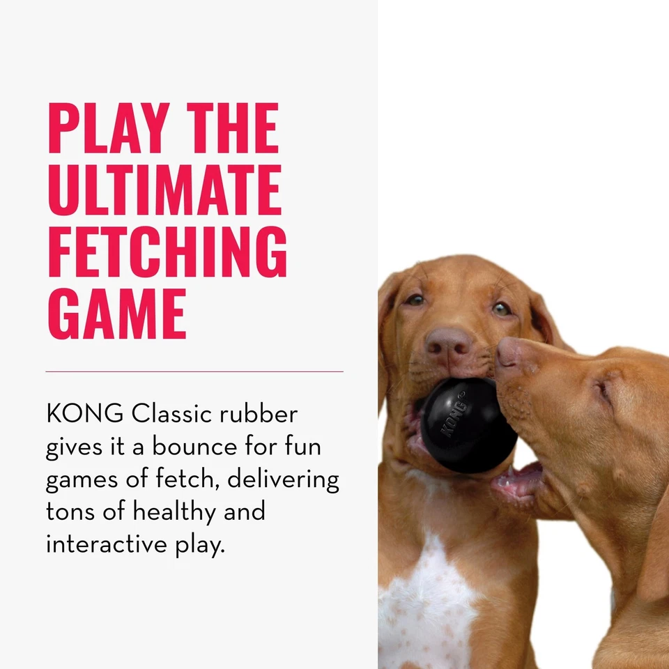 KONG Extreme Ball Con Foro Durevole Giocattolo per Cani in Gomma Naturale per l - Immagine 2 di 4