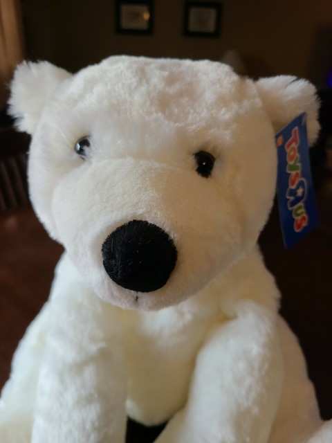FAO Schwarz Koala Bear 12