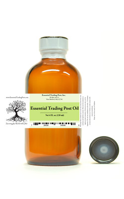Sassafras Oil Essential Trading Post Oils 4 fl. oz (120 ML)