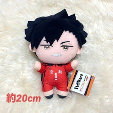 Haikyu!! Tetsuro Kuroo Plush Toy 20cm
