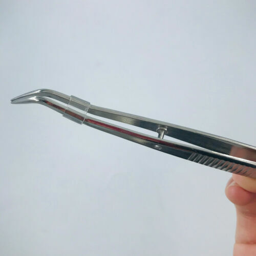 Stainless Steel Large Tweezers 10 Forceps Biology Heavy Duty