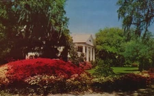 Postcard NC Wilmington Orton Plantation Gardens Unposted Vintage PC H3882