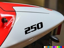 2x 250 MOTOR BIKE CYCLE STICKERS DECALS QUAD  MOTORCYCLE PITBIKE FAIRING TANK