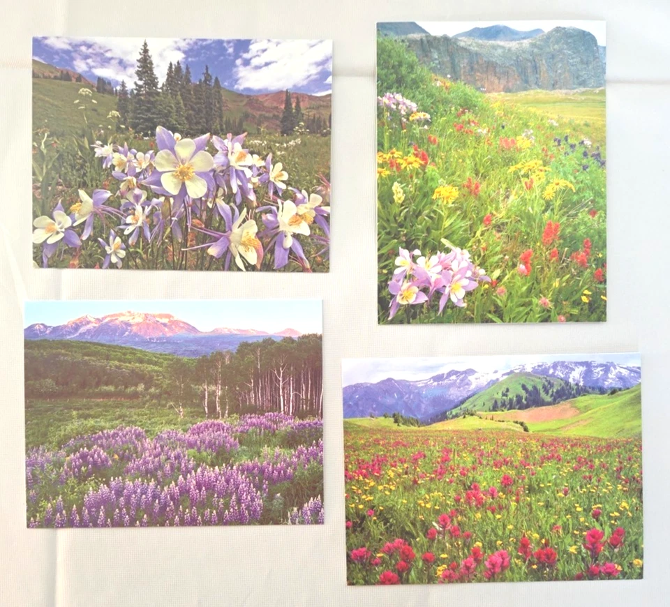 NEW! Mountain Wildflowers 12 Note Cards with Envelopes by John Fielder - Image 4 of 4