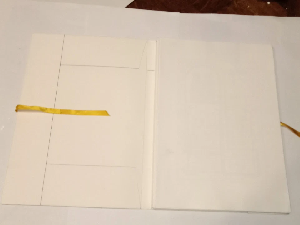 Notre Dame De Paris Hugo Livre d'Art Illustré Édition Originale 29/105 Signé - Photo 3/4