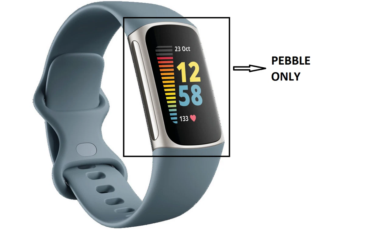 Fitbit pebble only ebay 2025