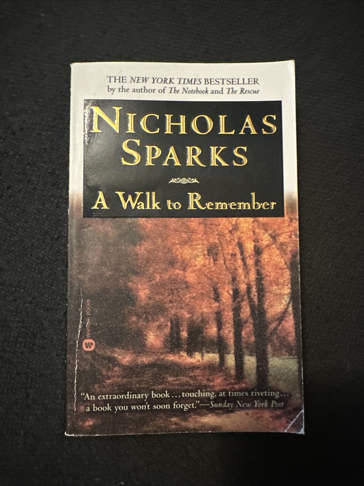 Nicholas Sparks - A Walk To Remember