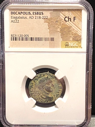 #C30 NGC Ch F ,Elagabalus,Esbus,Trans Jordan,Rv.Zeus Seat Spijker 1 Roman Coin,