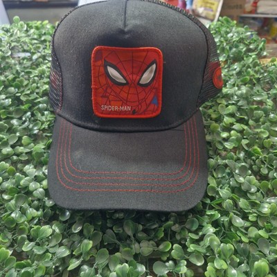 Spiderman Baseball Cap / Hat
