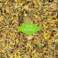 Arnica Flower |Whole or Powder | Natural Muscle & Joint Support | 1/4/8 oz Sizes