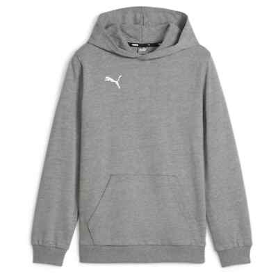 Puma Teamgoal 23 Basic Hoody Hoodie Kapuzenpullover grau Gr. M L XL 3XL
