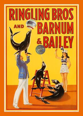 8731.Decoration Poster.Home Room wall art design.Ringling Circus.Seals show