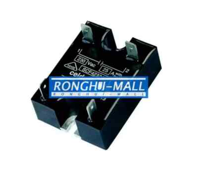 1PCS New For CELDUC Solid State Relay SCF42324