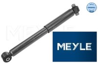 Meyle 7267250010 StoßDäMpfer StossdäMpfer Hinterachse Hinten FüR Ford