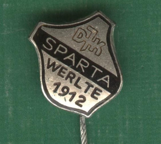 Needle by DJK Sparta Werlte 1912 FV Lower Saxony