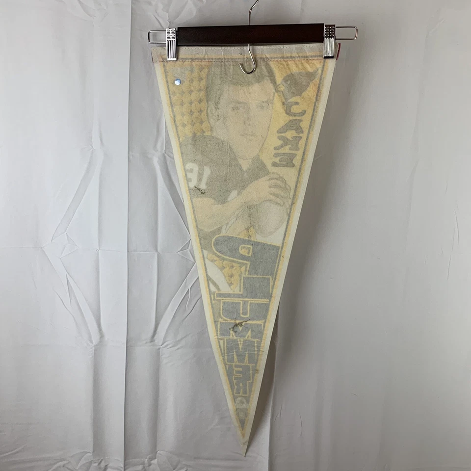 Banderín Wincraft Jake Plummer Arizona Cardinals Foto 4 de 4