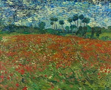 VINCENT VAN GOGH Art Poster or Canvas Print "Poppy Field"