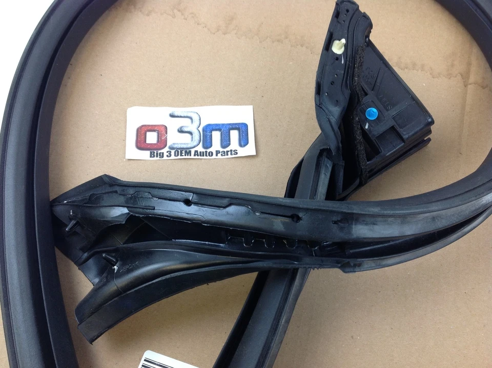 Restripa de goma para ventana de puerta delantera derecha Ford Mustang nueva OEM AR3Z-6320708-A Foto 2 de 3