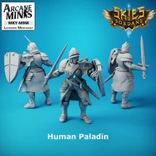 D&D Miniature Male Human Paladin with Sword and Shield Dungeons and Dragons