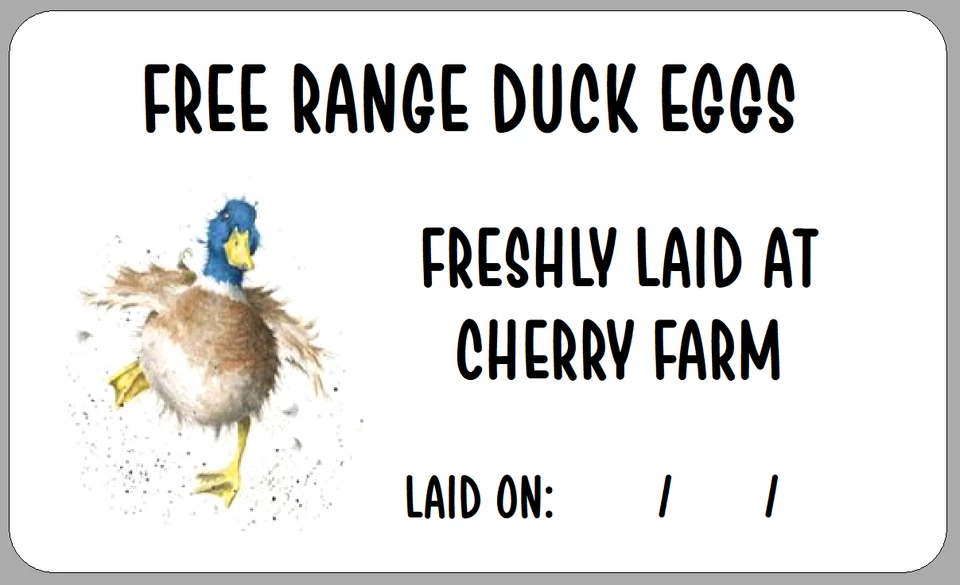 THE LITTLE LABEL COMPANY Personalised Duck Egg Box Labels Small Customised Carton Stickers Laid On Date