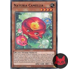 Yugioh Naturia Camellia DABL-DE021 Common 1. Auflage NM