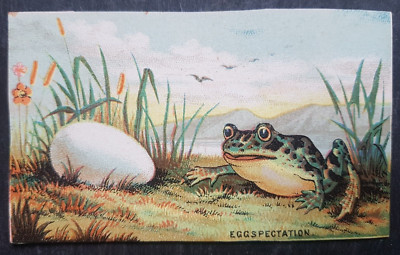 Froschkarte Humor um 1900 Kurzwaren anthropomorph J & P Mäntel Handelswerbung