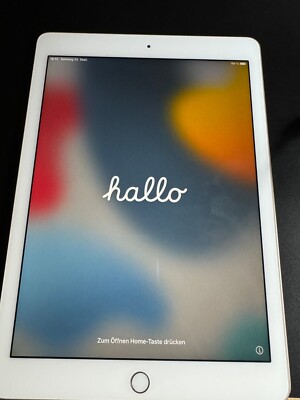 iPad Air 2 (WiFi) / 16GB / Rose Gold