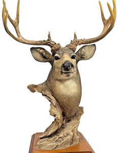 Mill Creek Studios | eBay