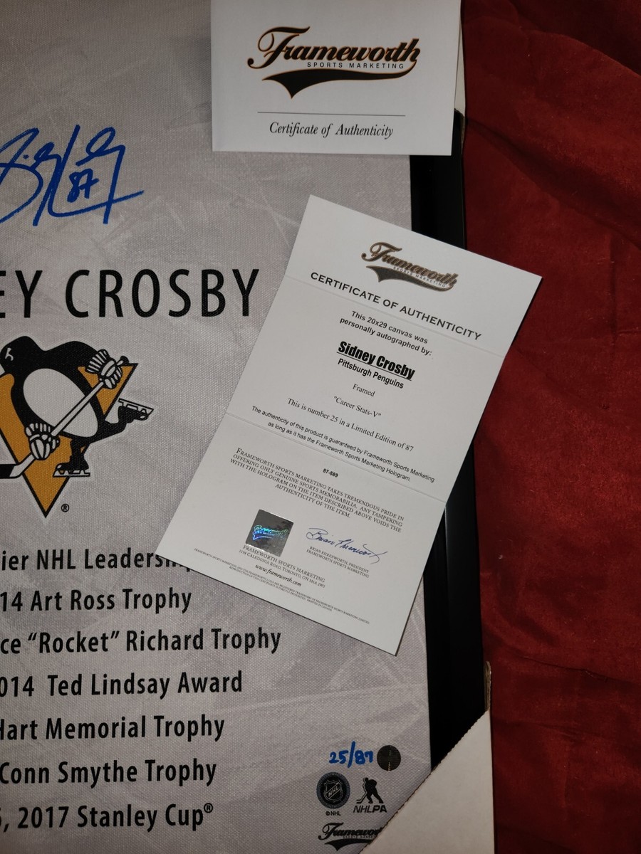 Sidney Crosby Autographed signed 20x29 Framed Stats Canvas 25/87