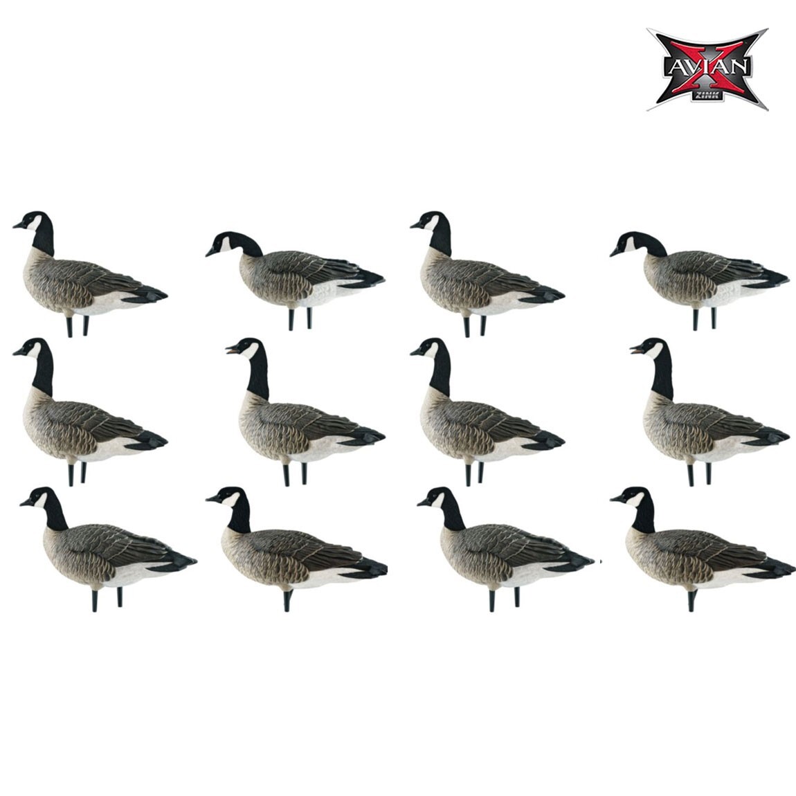 Avian-X AXF Flocked Outfitter Lesser Goose Decoys (Pk/12)