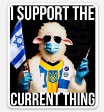 I SUPPORT THE CURRENT THING STICKER 3x3"  *WORLDWIDE SHIPPING* 🇮🇱 🇺🇦 LGBTQ 