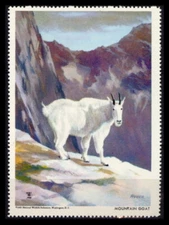 National Wildlife Federation Stamp - 1963 MNH - Mountain Goat