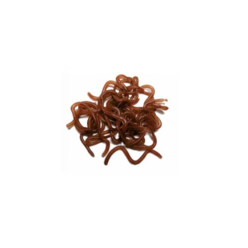 Behr TRENDEX Künstliche Würmer Shrimps mit Aroma Shrimps-Köder Hakenköder - Bild 5 von 10